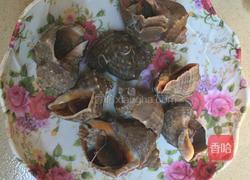 姜葱炒海螺肉的做法图解5