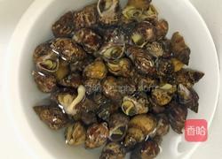 辣炒香螺的做法图解1