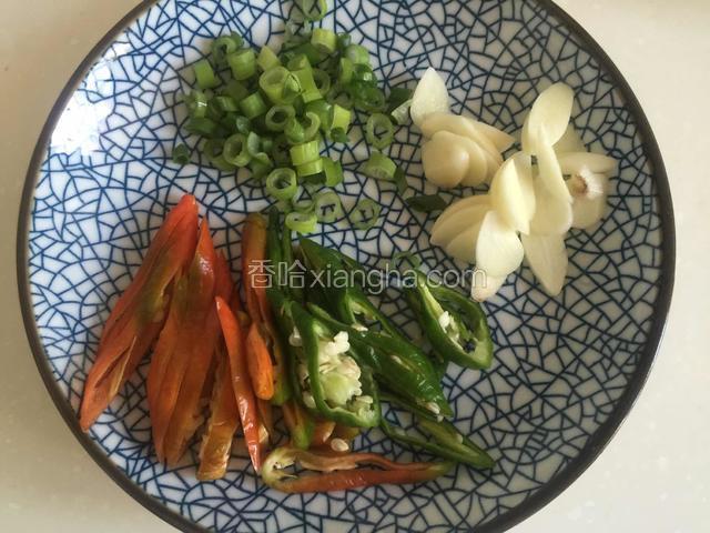 大葱切丁，大蒜切片，辣椒切丝。