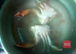 田七炖水螃蟹的做法图解4