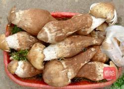 鸡纵菌油的做法图解2