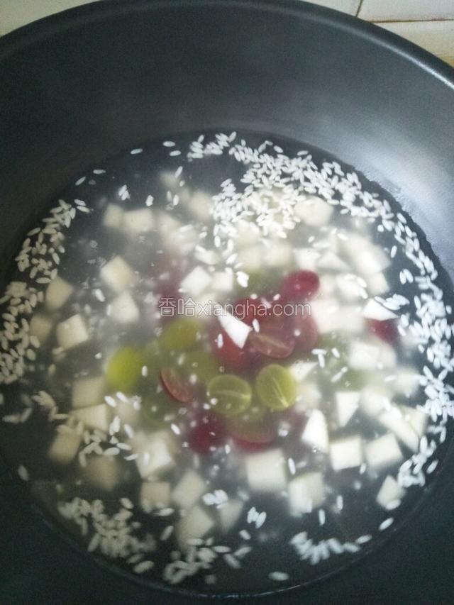 青提红提