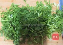 青瓜拌香菜的做法图解3