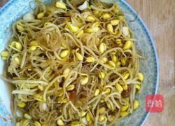 豆芽粉丝包的做法图解1