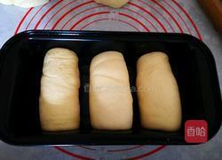 原味土司面包的做法图解9