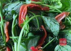 清炒红薯叶的做法图解1