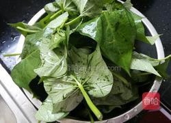 蒜蓉番薯叶的做法图解2