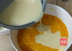 海洋芒果慕斯蛋糕(10寸)的做法图解6