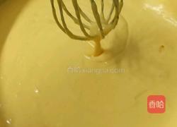 海洋芒果慕斯蛋糕(10寸)的做法图解10