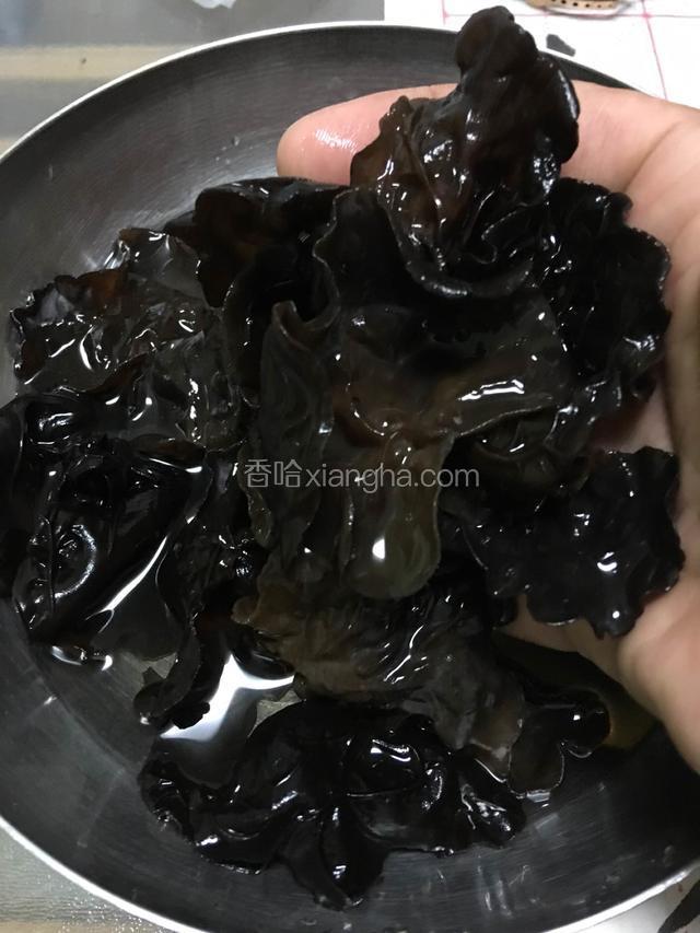 加木耳