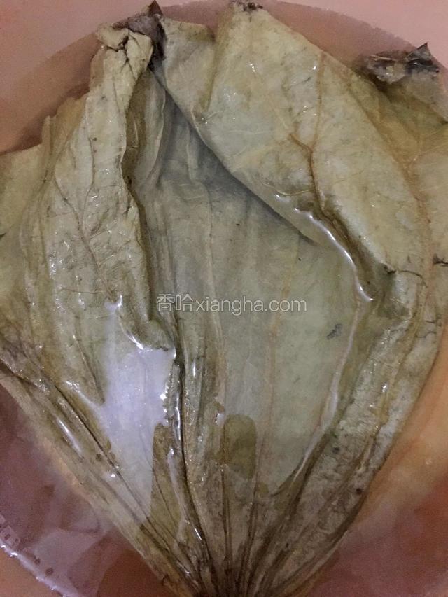 荷叶泡水10分钟