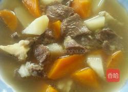 羊肉山药的做法图解8