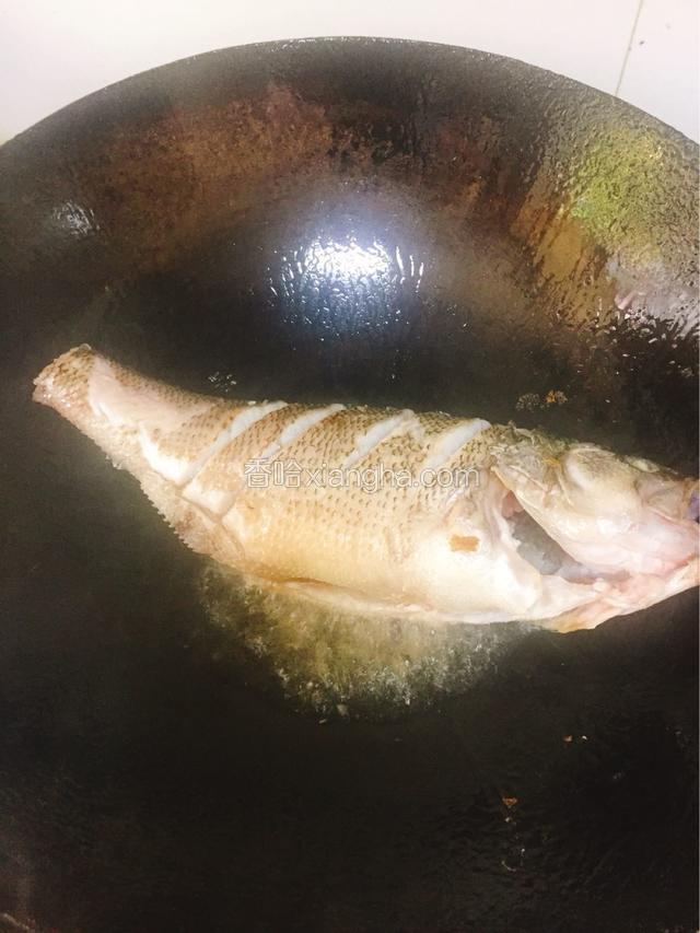 热锅倒油煎鲈鱼