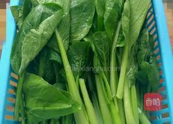 剁椒蒜蓉菜心的做法图解1