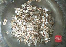 薏仁去湿茶水的做法图解3