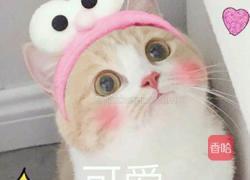 土豆咖喱鸡块方便面的做法图解5