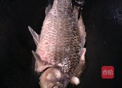 木瓜鲫鱼汤的做法图解3