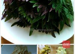 紫苏闷鸭的做法图解2