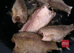 如何做出营养奶白的鲫鱼汤的做法图解3