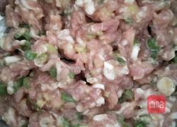 愤怒的小鸡肉包子的做法图解9