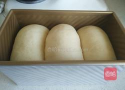 奶香葡萄干土司的做法图解15