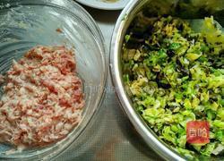 包菜虾皮猪肉饺子的做法图解7