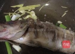 红烧太平洋红鱼的做法图解6