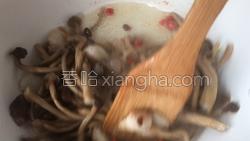 干锅茶树菇的做法图解11