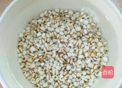 冬瓜薏米排骨汤的做法图解3