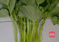 美味红薯藤的做法图解1