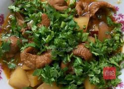 炖肥肠的做法图解9