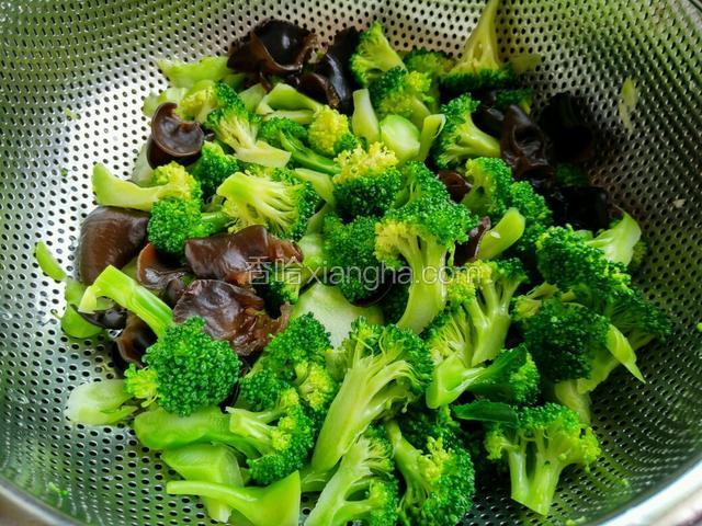 木耳和西兰花捞出来后立刻过凉水，并控干水分备用。