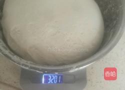 韭菜鸡蛋饺子的做法图解5