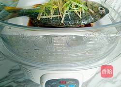 清蒸黄鳍鲷的做法图解8