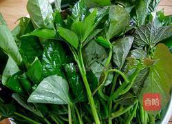 爆炒红薯叶的做法图解1