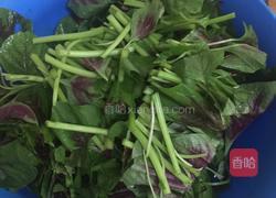 蒜蓉苋菜的做法图解3