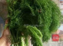 茴香饺子的做法图解1