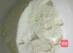 木瓜炖奶的做法图解3