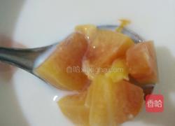 木瓜炖奶的做法图解9