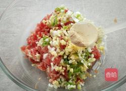 羊肉胡萝卜饺子馅的做法图解4