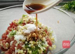 羊肉胡萝卜饺子馅的做法图解6