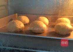 汉堡胚的做法图解11