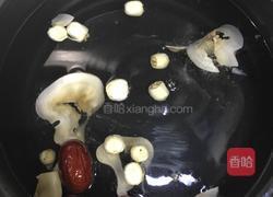 海底椰雪梨糖水的做法图解4