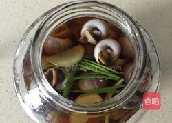 醉香螺的做法图解5