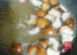 胡萝卜香菇焖排骨的做法图解3