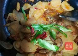 土豆盐煎肉的做法图解5