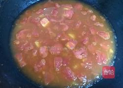 茄汁什锦蔬菜的做法图解5