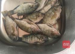 香煎罗非鱼的做法图解1