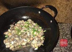 爆炒花哈的做法图解6