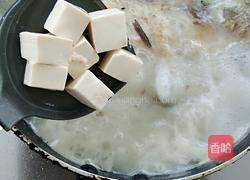 鲫鱼豆腐汤的做法图解8
